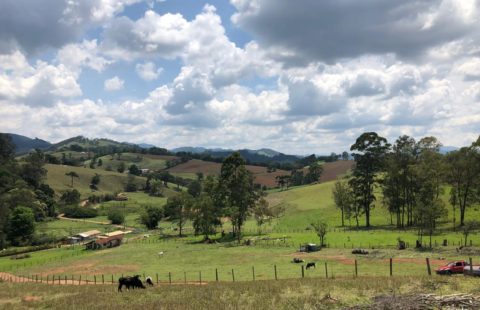CH003 – Chácara de 1000 metros à venda em Joanópolis – SP