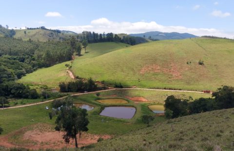S007 – Sítio para investimento à venda na Serra da Mantiqueira – Joanópolis – SP